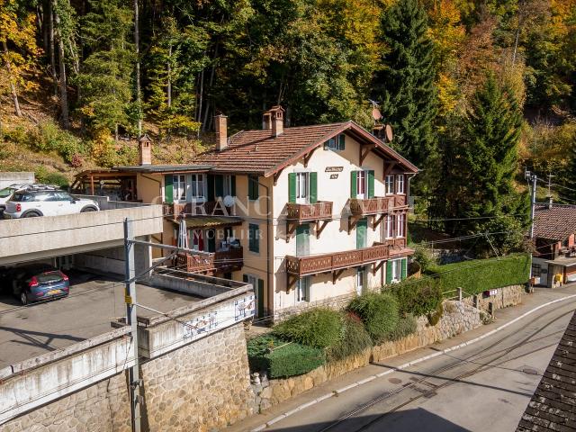 Haus kaufen in Arveyes, Waadt