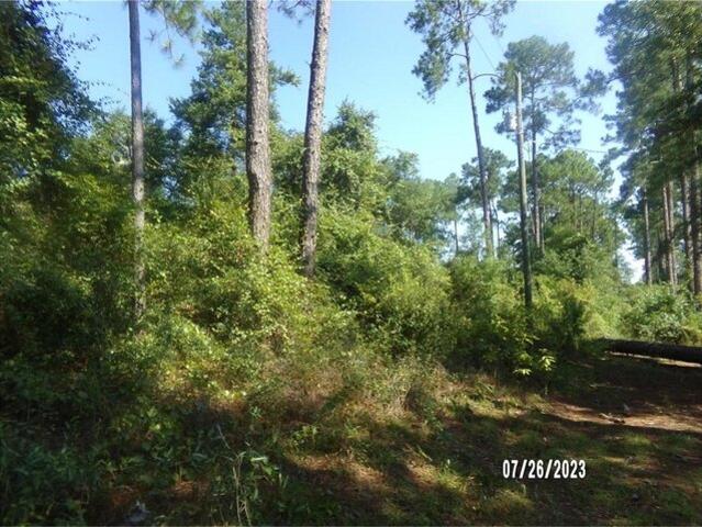 House for sale in Quincy, Florida