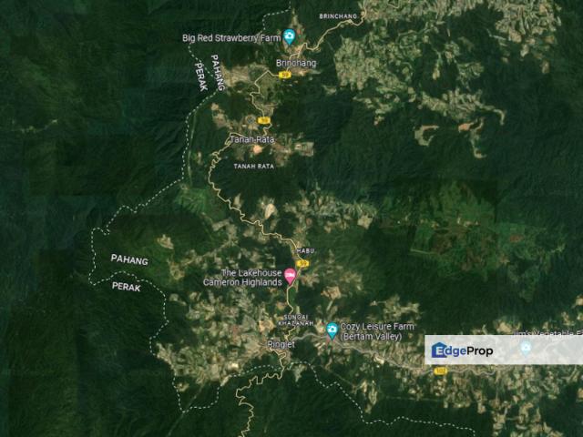 House for sale in Cameron Highlands, Pahang