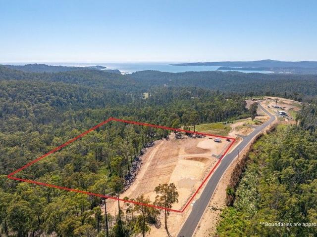 Land for sale in Nethercote, New South Wales