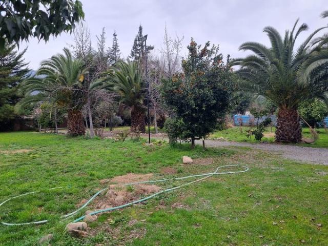 Mostazal, Fundo Peuco