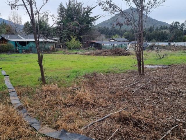 Mostazal, Fundo Peuco