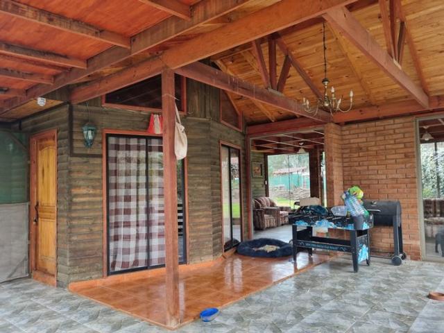 Mostazal, Fundo Peuco