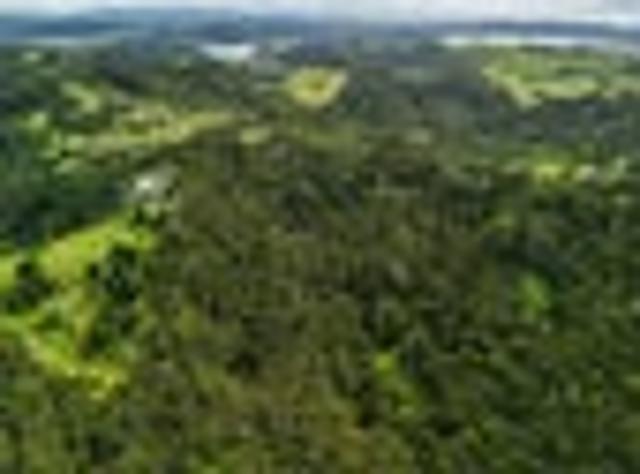 House for sale in Ohaeawai, Northland
