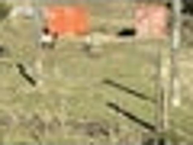 Land for sale in Oamaru