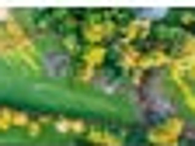 Land for sale in Pembroke, Taranaki