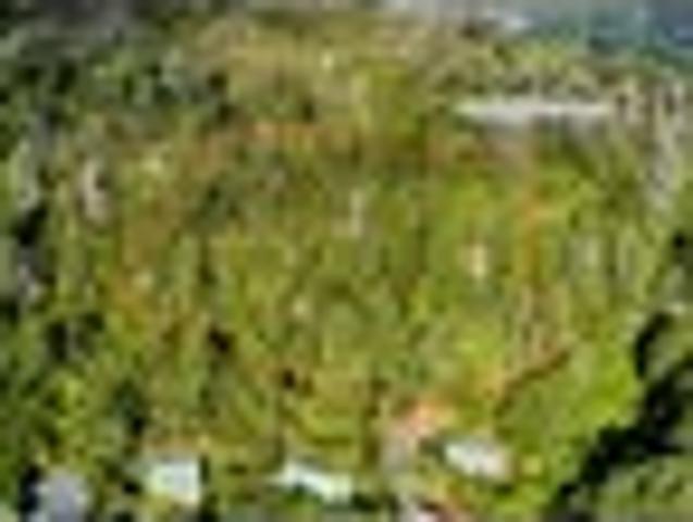 Land for sale in Days Bay, Wellington