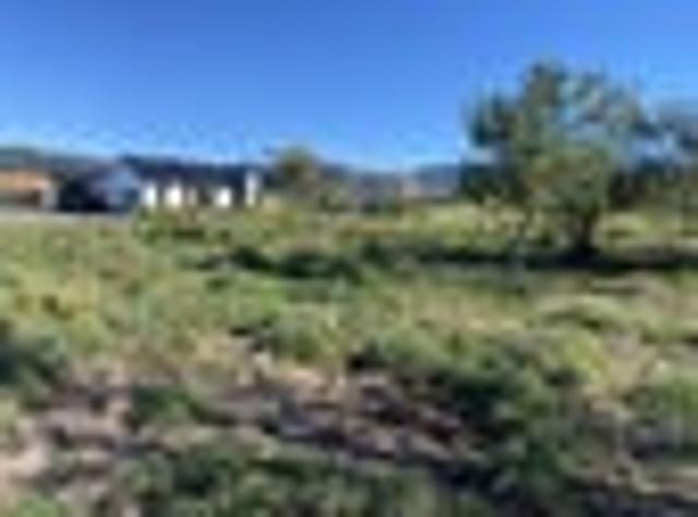 Land for sale in Waimate