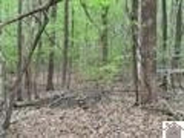 Land for sale in Eddyville, Kentucky