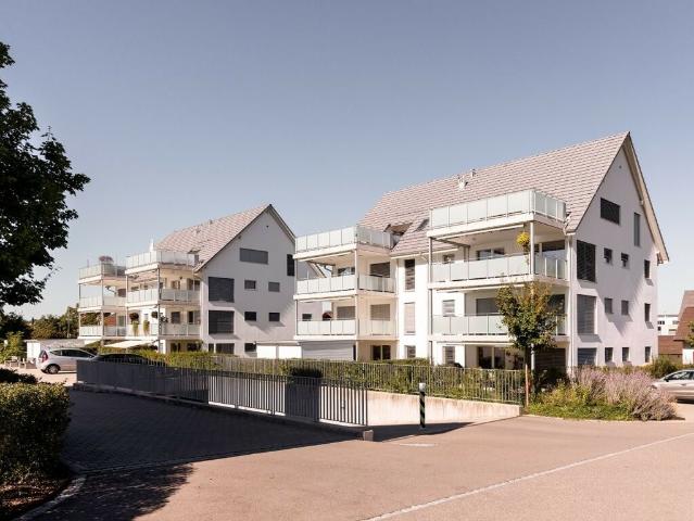 Immobilie mieten in Birr, Aargau