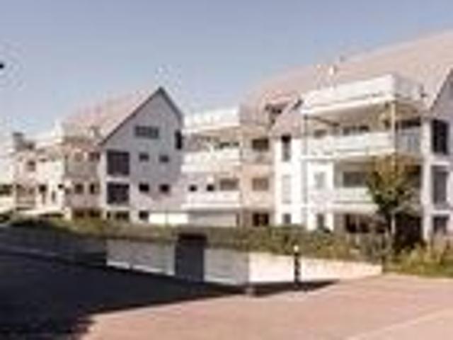 Immobilie kaufen in Birr, Aargau