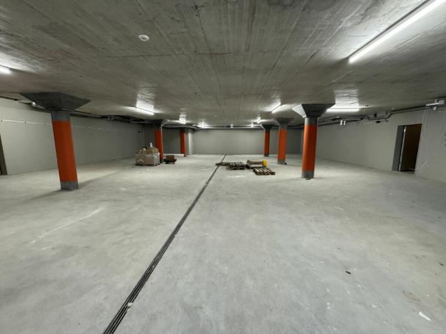 Garage mieten in Einigen, Zürich