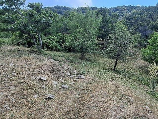 Tire, İzmir içerisinde satılık mülk