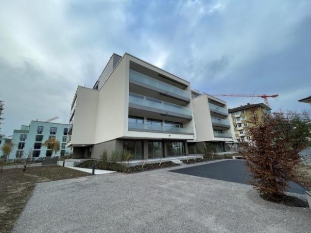 Garage mieten in Einigen, Zürich