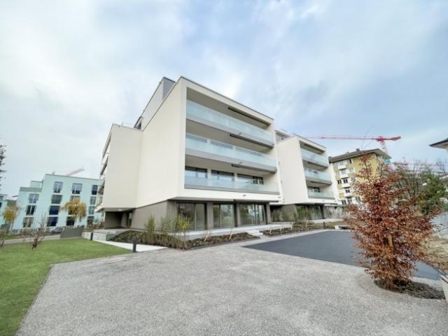 Garage mieten in Einigen, Zürich