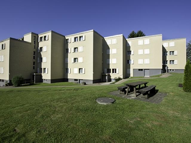 Garage mieten in Steinhausen, Zug