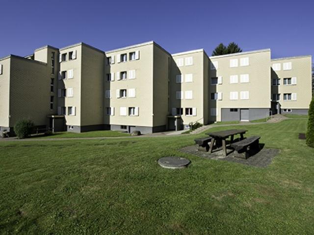 Immobilie mieten in Steinhausen, Zug