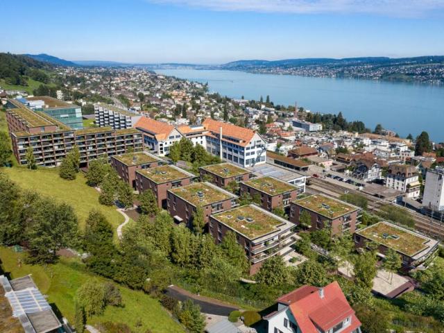 Immobilie mieten in Horgen, Zürich