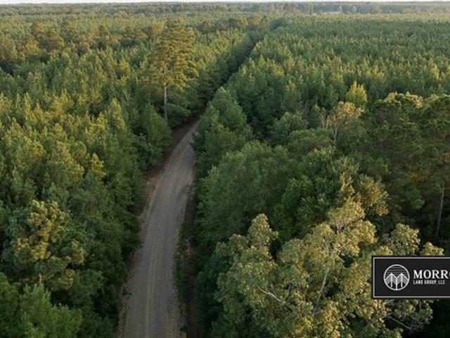 Land for sale in Plain Dealing, Bossier Parish