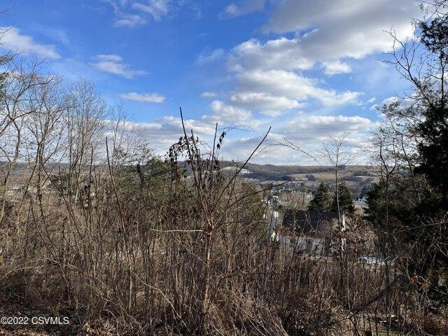 Land for sale in New Berlin