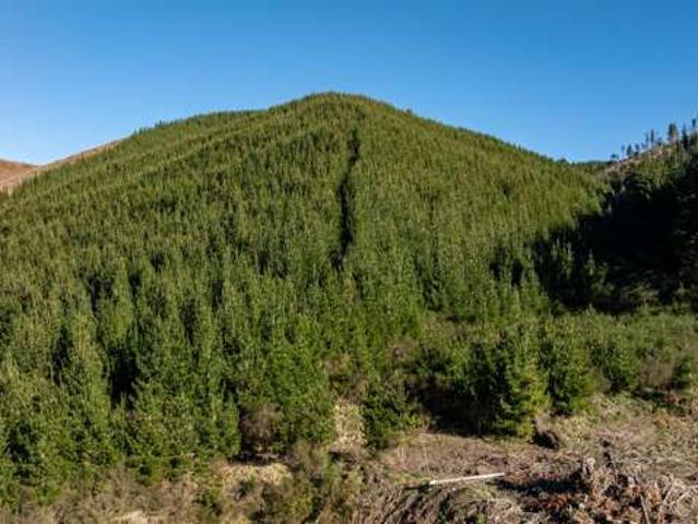 Property for sale in Motueka, Tasman
