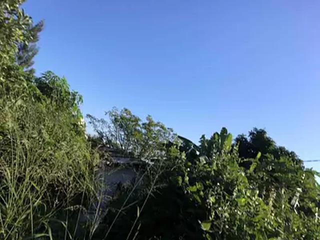 Terrain vente à La Réunion
