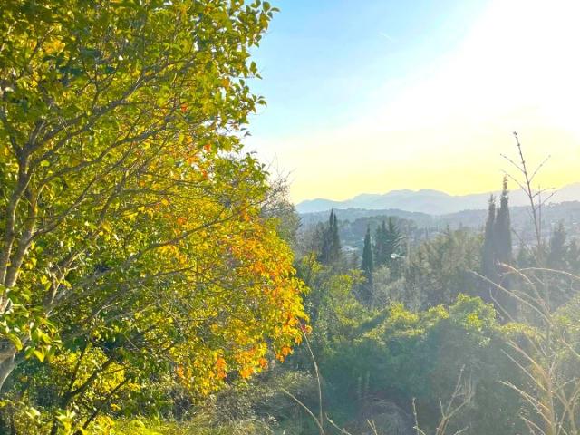 Terrain vente à Grasse, Mougins