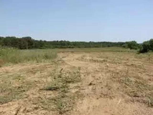 Terrain vente à Mouilleron-le-captif, La Grimoire
