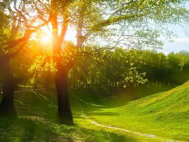 Terrain vente à France métropolitaine, Mouilleron-le-captif