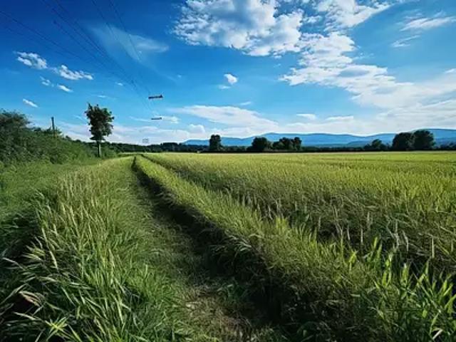 Terrain vente à La Roche-sur-Yon, Mouilleron-le-captif