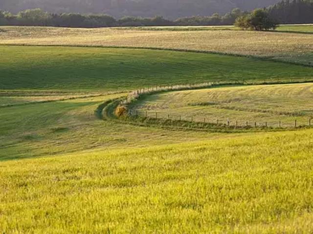 Terrain vente à La Roche-sur-Yon, Mouilleron-le-captif