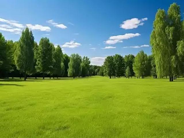 Terrain vente à France métropolitaine, Mouilleron-le-captif