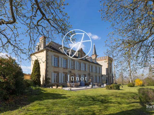 Château vente à Petit Corgenay, Neuvy