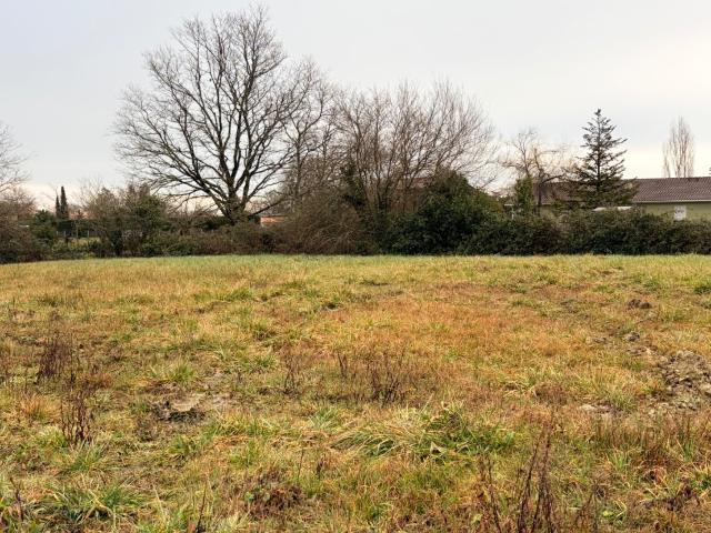 Terrain vente à Lesparre-Médoc, Moulis-en-médoc