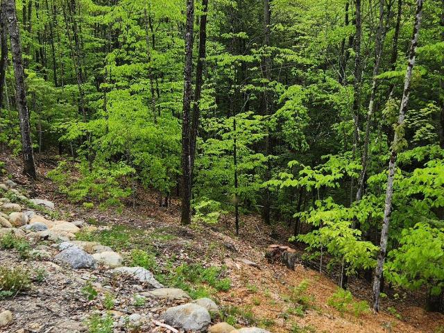 Land for sale in New Hampshire