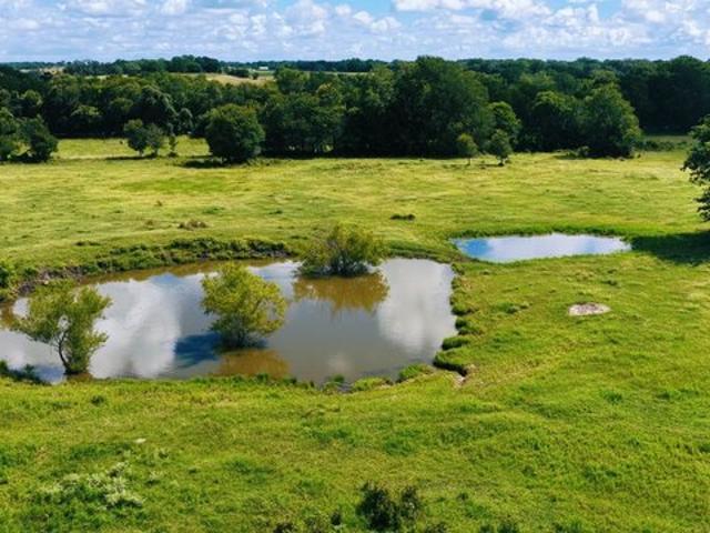 Farm for sale in Moulton, Texas