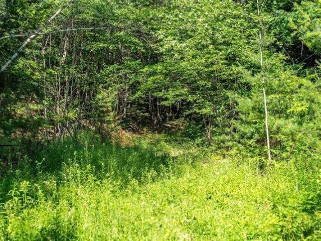 Land for sale in New Hampshire