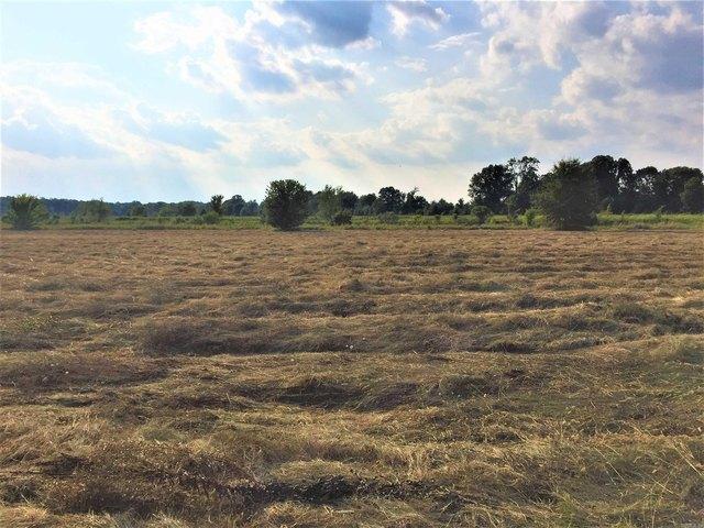 Land for sale in Ark