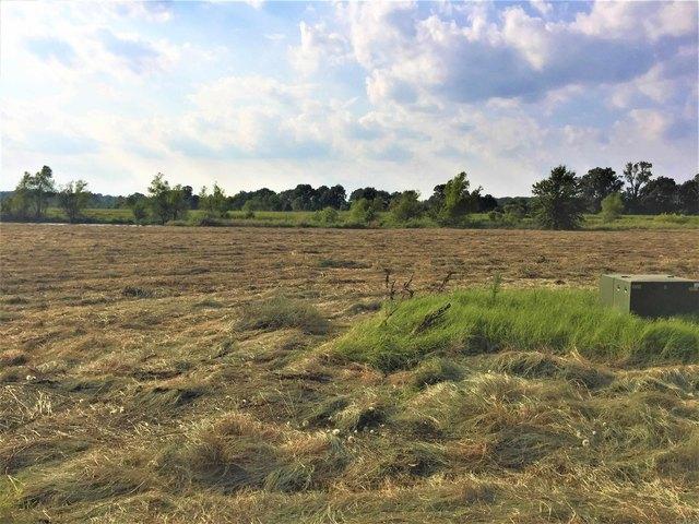 Land for sale in Ark