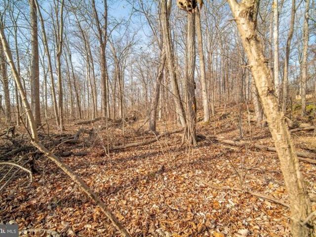 Land for sale in Lewisberry