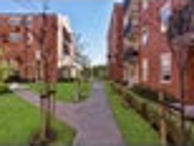 Apartment for rent in Mount Albert, Albert-Eden