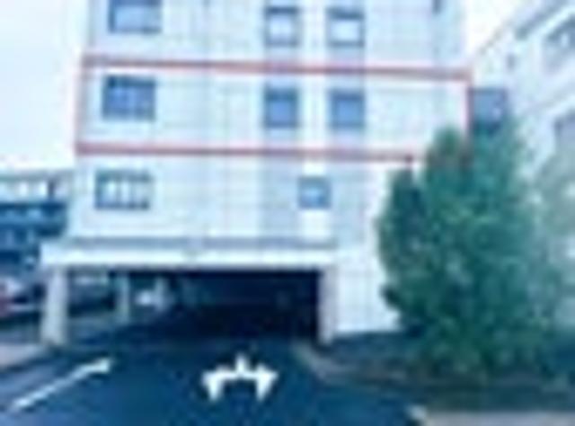 Apartment for rent in Saint Lukes, Albert-Eden
