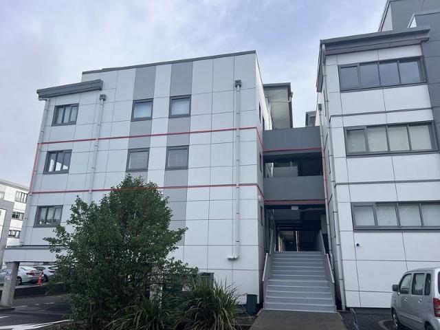 Apartment for rent in Saint Lukes, Albert-Eden
