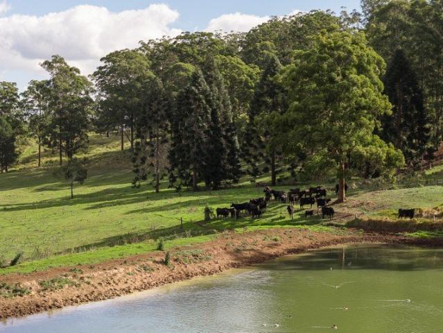 Cottage for sale in Hampton, Queensland