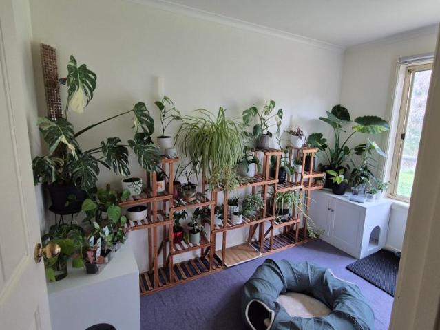 Room for rent in Mount Barker, South Australia