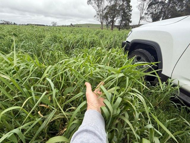 Acreage for sale in Victoria