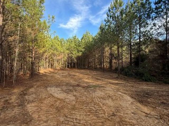 Land for sale in Winston, Mississippi