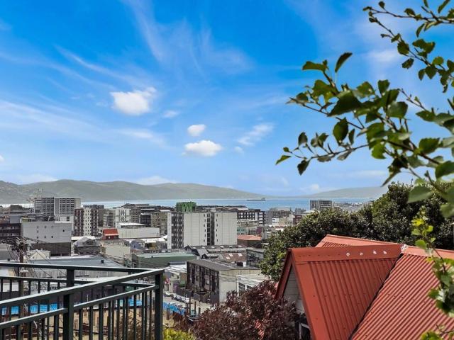 House for rent in Mount Cook, Wellington