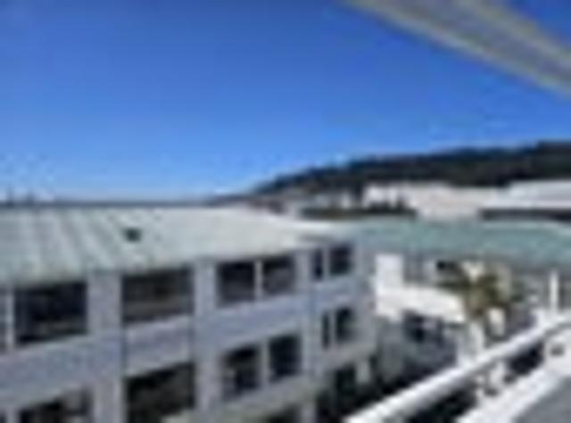 Apartment for rent in Mount Cook, Wellington