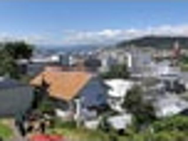 House for rent in Mount Cook, Wellington